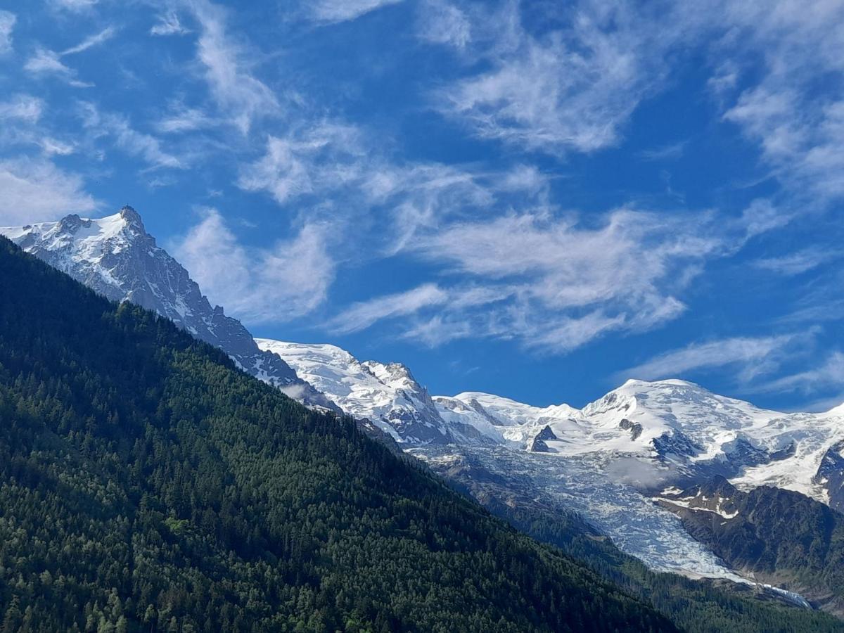Le Petit Balcon Avec Vue Sur Le Mont-Blanc 2 Etoiles Apartment Chamonix Bagian luar foto